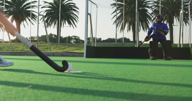 Caucasian female hockey players playing on sunny court - Download Free Stock Photos Pikwizard.com