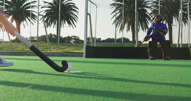 Field hockey player preparing to shoot ball towards goalkeeper during sunny day on lush green field. Photo is ideal for use in sports advertisements, athletic training materials, field hockey event promotions, and outdoor activity blogs.