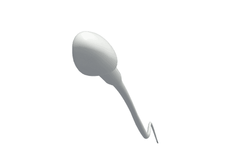 digital transparent sperm icon isolated on white background - Download Free Stock Videos Pikwizard.com