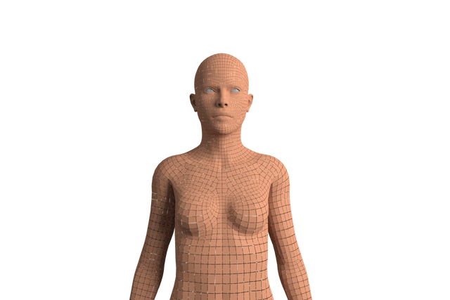 Transparent Polygonal Digital Human Model on White Background - Download Free Stock Videos Pikwizard.com