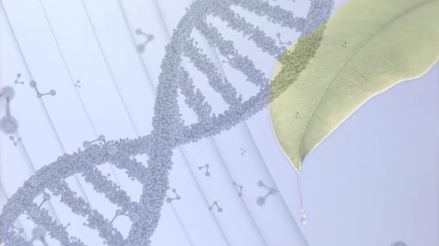 Visuals intertwining DNA with a leaf and molecular elements presents a blend of biology and technology, symbolizing advancements in genetic research. Ideal for content related to biotechnology research, educational materials on gene manipulation, and studies on integrating nature with modern science.