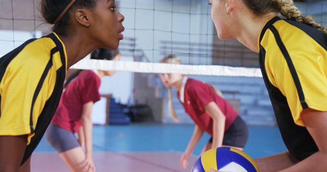 Women's Volleyball Players on Indoor Court During Match - Download Free Stock Images Pikwizard.com