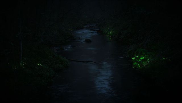 Tranquil Nocturnal Stream Surrounded by Luminous Foliage