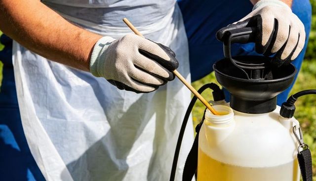Gardener preparing yellow lawn sprayer wearing protective gloves and white apron