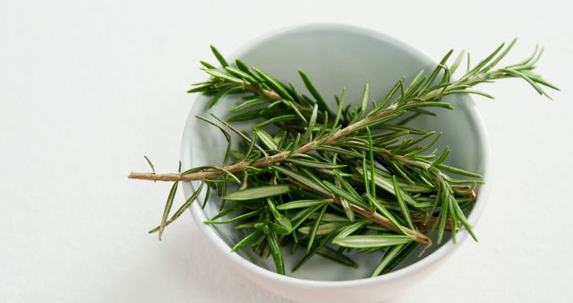 This image depicts fresh, organic rosemary twigs neatly placed in a small white ceramic bowl against a plain white background. It can be used for illustrating natural and organic cooking ingredients in cookbooks, blogs, and magazines. Ideal for health and culinary websites highlighting the use of herbs in meals. Perfect for gardening and agricultural purposes as well.