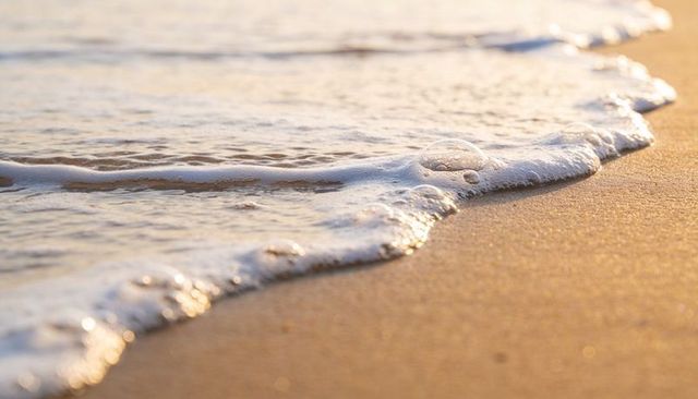 Golden hour wave foam washing over wet sand with bubbles closeup seascape texture