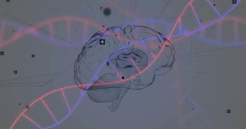 Futuristic brain with digital dna in abstract concept