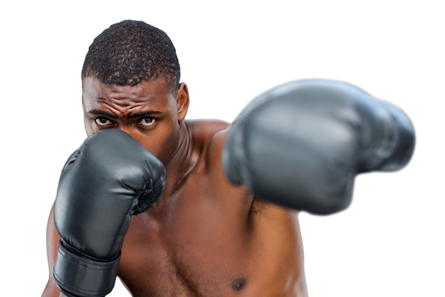 Focused African American Boxer Punching with Black Boxing Gloves Transparent - Download Free Stock Videos Pikwizard.com