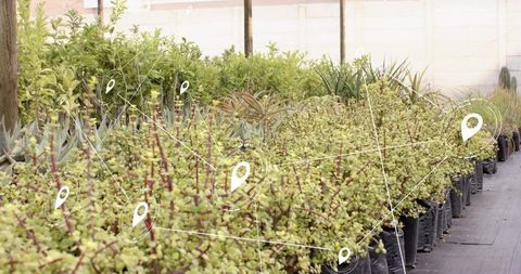 Smart horticulture with digital location mapping in a greenhouse