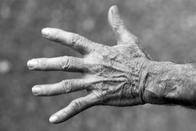 Grayscale Photo of Left Human Hand - Download Free Stock Photos Pikwizard.com