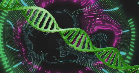 Dynamic DNA Strand with Neon Digital Interface - Download Free Stock Images Pikwizard.com