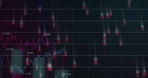 Interactive Financial Dashboard with Data Visualization and Analytics