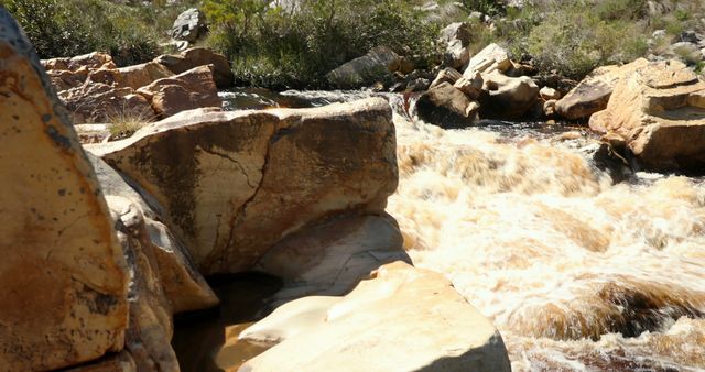 Flowing stream cuts through a landscape filled with large rocks and lush vegetation. Utilize for nature-themed content, outdoor adventure promotions, or illustrating peaceful natural settings.