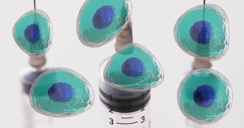 White Blood Cells and Laboratory Dishes Illustration