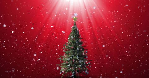 Festive Christmas Tree in Snowy Winter Scene