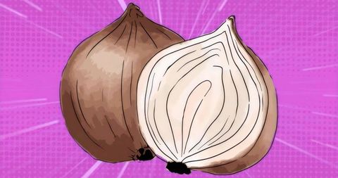 Colorful Onion Illustration on Purple Halftone Background