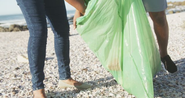 Volunteers Cleaning Beach with Large Trash Bag - Download Free Stock Images Pikwizard.com