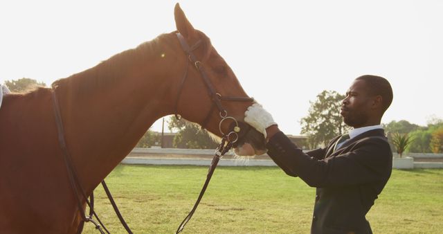 Elegant Horse Rider Preparing for Equine Training - Download Free Stock Images Pikwizard.com