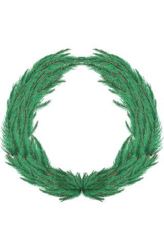 realistic green fir tree wreath on transparent background - Download Free Stock Videos Pikwizard.com