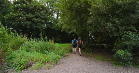 Fitness Enthusiasts Jogging through Lush Forest Trail for Outdoor Workout - Download Free Stock Images Pikwizard.com
