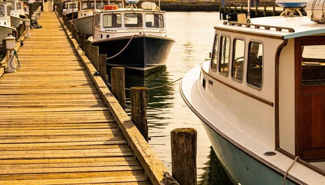 Golden light on weathered wooden dock leading past moored cabin cruisers in quiet marina