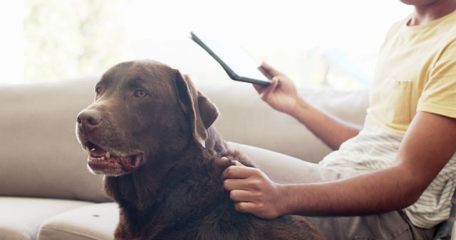 This image depicts an individual sitting on a couch reading on a tablet while petting a brown labrador retriever. The relaxed home environment is ideal for use in articles and advertisements emphasizing the bond between pets and their owners, modern living, and using technology in everyday life.