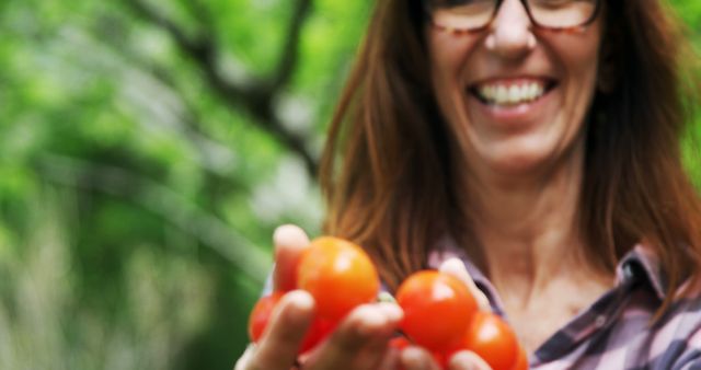 Smiling Woman Holding Freshly Picked Tomatoes in Garden - Download Free Stock Images Pikwizard.com