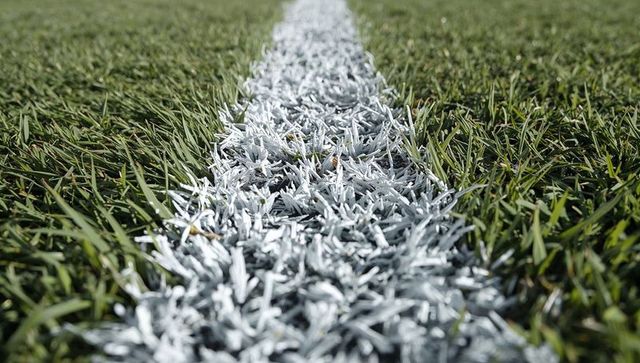 Low-angle close-up showing painted white boundary line on grass turf with paint texture