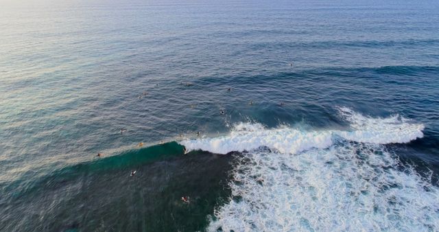 Aerial perspective of surfers navigating waves in crystal clear ocean. Ideal for travel agencies, surfing events advertisements, ocean conservation promotions, and adventurous lifestyle blogs.