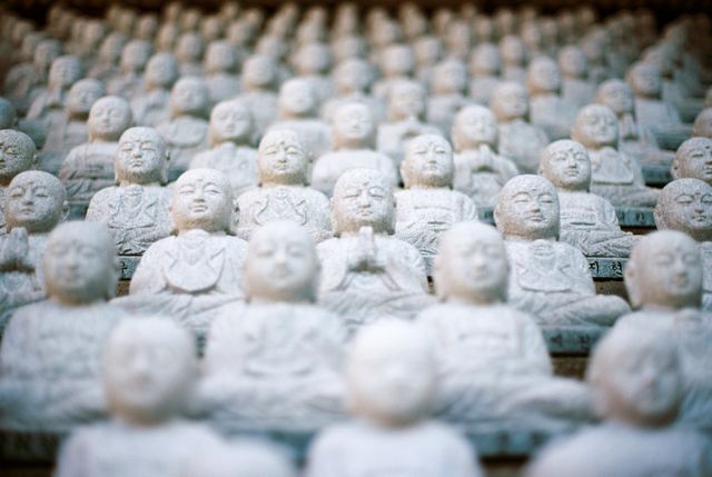 Rows of Small Stone Buddha Statues Focusing on Serenity and Meditation - Download Free Stock Photos Pikwizard.com