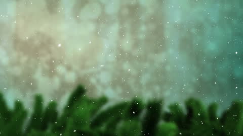 Snow Falling Over Evergreen Trees Creating Festive Atmosphere