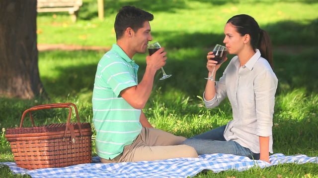 Couple sitting on a blue checkered blanket, engaged in conversation while drinking red wine. Shows a relaxing, romantic activity under a tree in a lush green park. Great for themes around dating, relaxation, outdoor activities, and romantic moments. Suitable for travel blogs, lifestyle magazines, and advertisements promoting wine, picnic products, or romantic getaways.