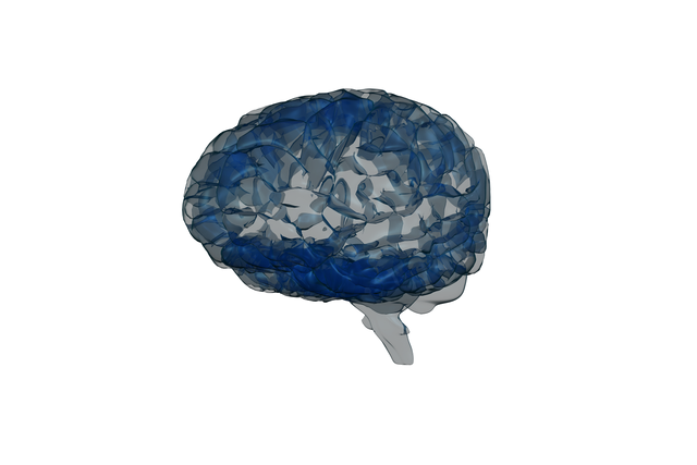 Grey-Navy Blue Human Brain on Transparent Background - Download Free Stock Videos Pikwizard.com