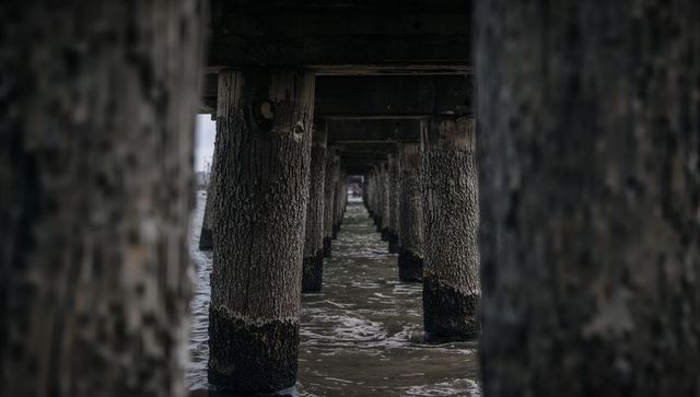 Framing Weathered Wooden Pilings Creating Repeating Tunnel Under Pier
