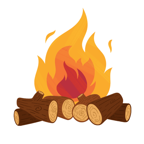 vibrant campfire flames on transparent background illustration - Download Free Stock Videos Pikwizard.com