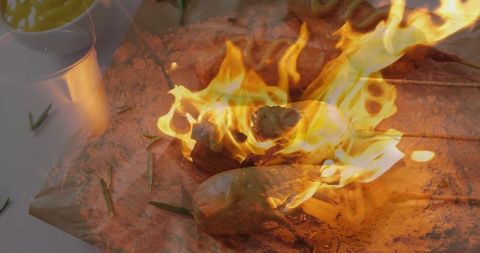 Roasting Corn on Campfire at Outdoor Campsite with Rosemary