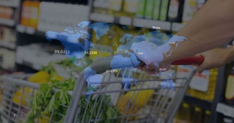 Global Business Impact on Grocery Shopping