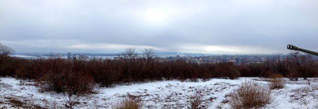 Panoramic view captures the serene contrast between urban and natural landscapes in winter. Snow blankets the ground, bare trees stand against a cloudy sky, and a city skyline is seen in the distance. Ideal for illustrating the beauty of winter, urban and nature juxtaposition, and seasonal changes in landscape.