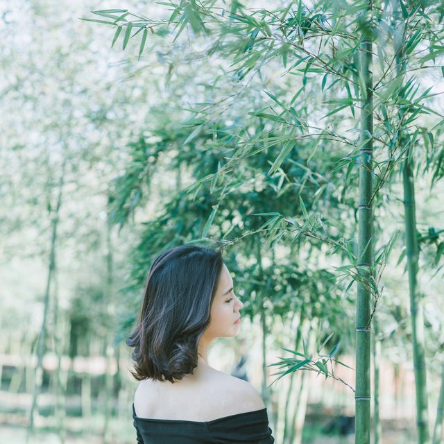 Woman enjoying serene moment in bamboo forest - Download Free Stock Photos Pikwizard.com