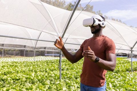 African Farmer Using VR Technology in Hydroponic Greenhouse