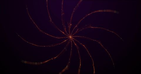 Vibrant swirling orange and yellow light trails over black