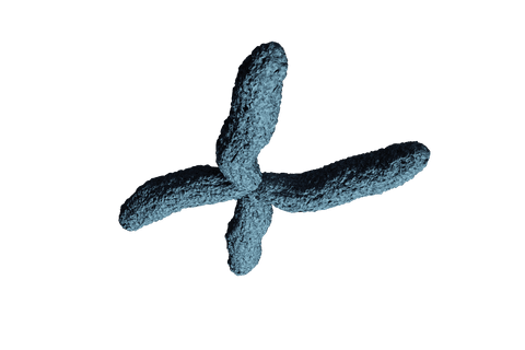 Chromosome Digital Illustration on Transparent Background