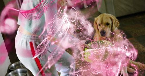 Woman feeding golden retriever at home with digital overlays