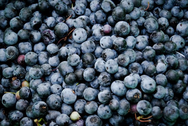 Close-up view of a large quantity of fresh blueberries, showcasing their natural texture and rich color. Ideal for use in marketing materials for food and nutrition, organic grocery content, or healthy lifestyle promotions.