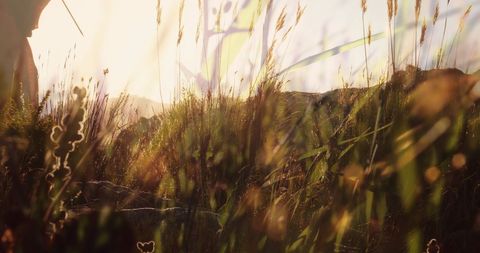 Woman Embracing Wilderness in Natural Setting with Traditional Attire - Download Free Stock Images Pikwizard.com