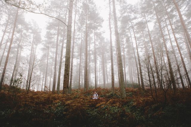 This stock photo captures a couple embracing in a misty forest clearing. With tall trees and fog creating a tranquil and serene atmosphere, this image is perfect for promoting relaxation, nature therapy, romantic getaways, and autumn-themed campaigns. Ideal for use on travel blogs, romance novels, and wellness websites.
