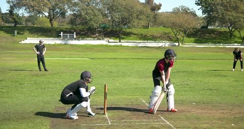 Cricket Match in Sunny Field, Players with Bat Await Pitch
