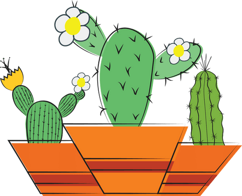 Bright Cacti Trio in Decorative Pots on Transparent Background