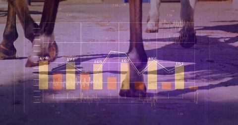 Galloping Horse Hooves Overlaid with Data Visualization