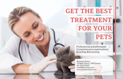 Smiling Veterinarian Examines Kitten for Pet Healthcare Promotion - Download Free Stock Templates Pikwizard.com